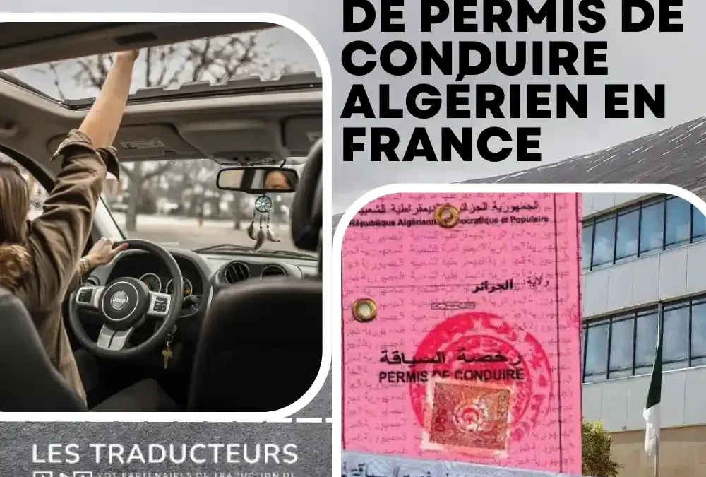 Traduction de permis de conduire algérien